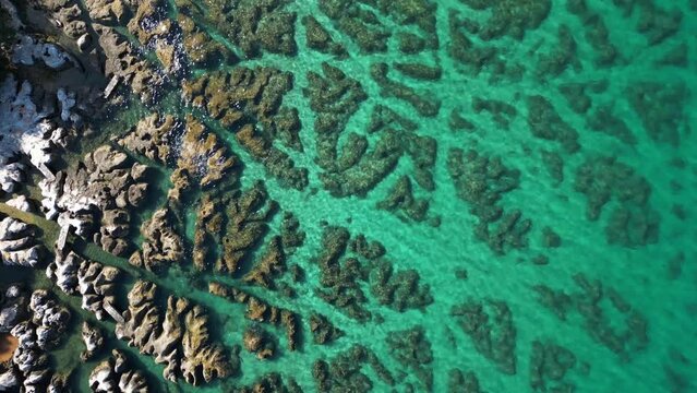 Aerial view of crystal clear water along the coastline with rocky seabed on Veliki Brijun Island, Brijuni National Park, Istria, Croatia.