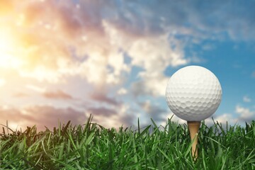 Golf white ball on tee on green grass