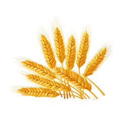 wheat grain flat illustration