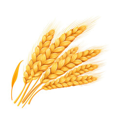 wheat grain flat illustration