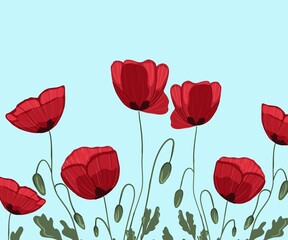 illustration of red poppies on the field