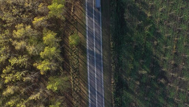 Semi-truck with empty dump trailer driving along the road through wooded landscape in autumn, aerial shot from drone pov