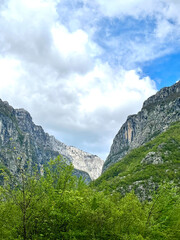Obraz premium Montenegro. Durmitor National Park. Saddle Pass. Alpine meadows. Mountain landscape. Popular tourist spot
