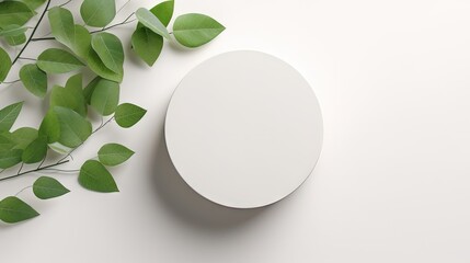 Empty round podium and green leaves on light grey background top view. Pedestal and fresh natural branches for cosmetic marketing. Eco product presentation or sale mockup. Top view. Minimal flat lay.