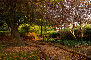 Autumn (fall) scene in England with a footpath leading through a park with trees.