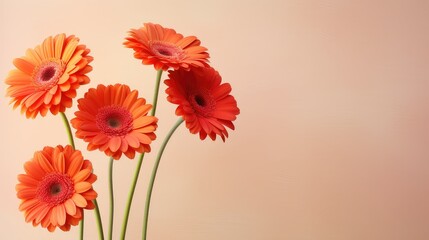 Obraz premium nature beauty flower background minimalistic illustration modern beautiful, floral leaf, print poster nature beauty flower background minimalistic