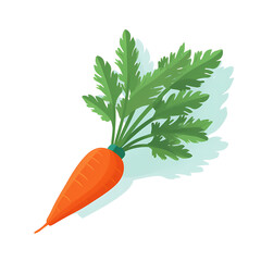 Simplified flat art illustration of a carrot