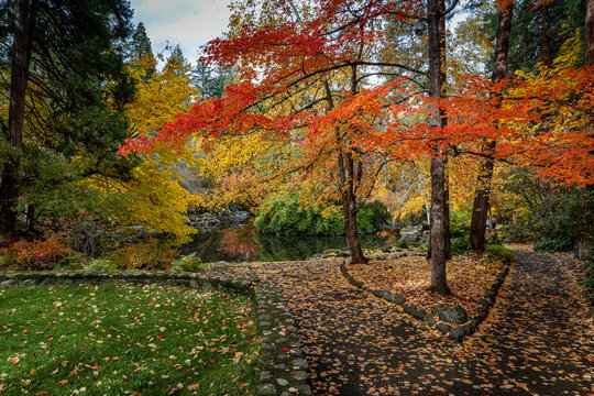 Lithia Park