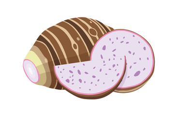 taro isolated on white background.vector cartoon style