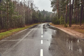 Obraz premium Autumn Wet Road