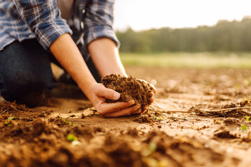 Farmer's hands take the soil from the field and check its quality. Experienced male hands hold the...