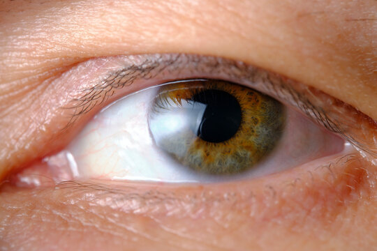Human male eye closeup on macro photos.