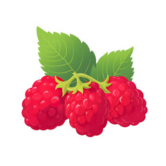 Simplified flat art illustration of a raspberry