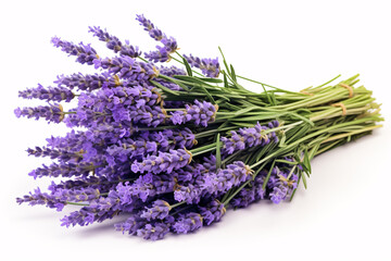 A bouquet of lavender sits isolated on a white surface.