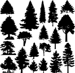 Silhouettes of Pine Trees, Tree and Firs against a White Background. Forest Shapes and Templates for Nature-Themed Vector Designs.