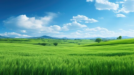 grass beauty environment green landscape illustration nature beautiful, sky spring, park meadow...