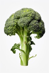 A close-up shot of a single piece of broccoli on a clean white background. Versatile for use in healthy eating, vegetarian or vegan lifestyle, nutrition, or cooking concepts.