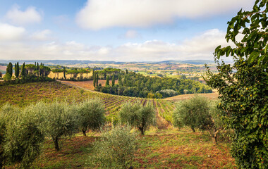 Landschaft in der Toskana