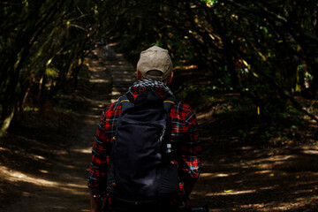 Hiker walking in the forest