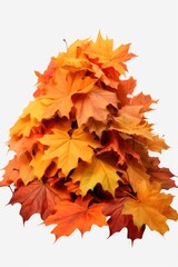 A collection of orange and yellow leaves beautifully arranged on a clean white background. Perfect for autumn-themed designs and nature-inspired projects