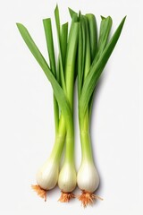 A couple of green onions sitting on top of a white surface. Perfect for cooking and food-related designs