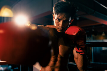 Muay Thai boxer punch his fist in front of camera in ready to fight stance posing at gym with...