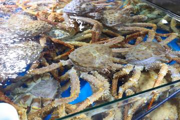 a living king crab very fresh korea