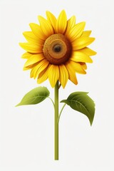 A vibrant yellow sunflower with green leaves on a clean white background. Suitable for use in floral arrangements, nature-themed designs, or as a symbol of summer and happiness