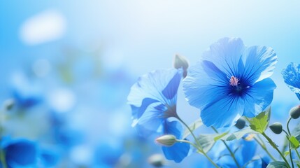 spring blue flower background close illustration bloom floral, petal natural, colorful beauty...