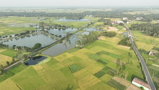 Aerial footage of scenic green landscape with agriculture field. 4k