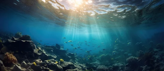 Fotobehang Deep ocean full of life. Underwater coral reef with fish and rays of sun through water surface © ANIS
