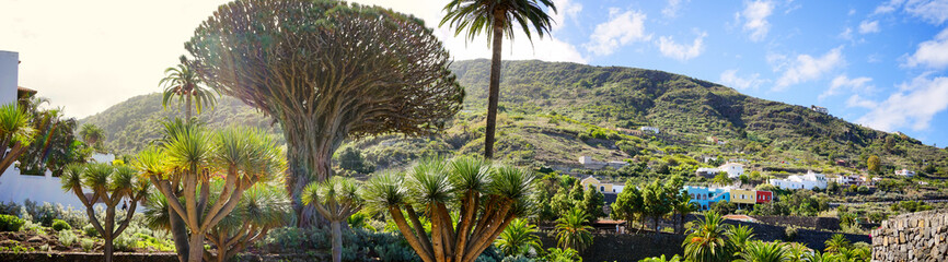 Parque del Drago panoramic view in Icod de los Vinos, Tenerife, Canaries, Spain