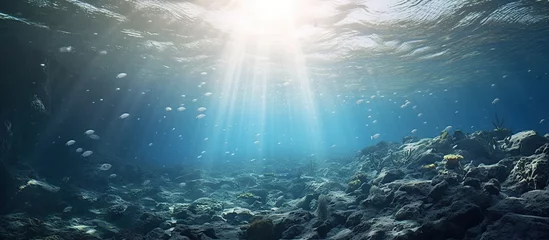 Foto op Aluminium Deep ocean full of life. Underwater coral reef with fish and rays of sun through water surface © ANIS