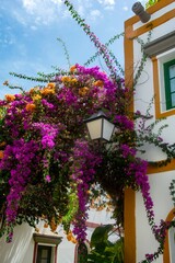 Fototapeta na wymiar Houses with flowers in the Spanish town of Puerto de Mogán
