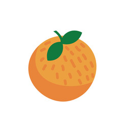 Chinese New Year tangerine on white background