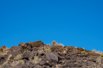 Some Petroglyphs at Piedras Marcadas Canyon, Albuquerque, NM	
