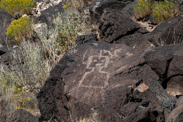 Petroglyphs at Piedras Marcadas Canyon, Albuquerque, NM