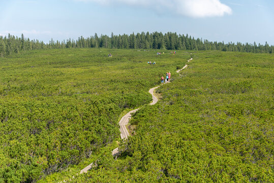 wooden path at Lovrenska lakes