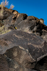Petroglyphs at Piedras Marcadas Canyon, Albuquerque, NM