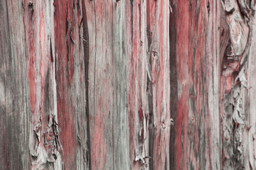 a wall of boards of different colors. wooden colored background