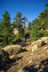 Beautiful trails in the Santa Rosa mountains near Toro Peak in Southern California.