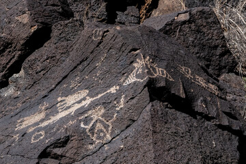 Petroglyphs at Piedras Marcadas Canyon, Albuquerque, NM	
