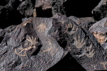 Petroglyphs at Piedras Marcadas Canyon, Albuquerque, NM	
