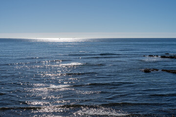 Seascape. Clear sky. Sea. Sand. Coastal area.