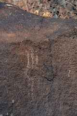 Petroglyphs at Piedras Marcadas Canyon, Albuquerque, NM