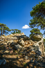 Beautiful trails in the Santa Rosa mountains near Toro Peak in Southern California.