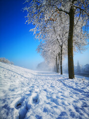 Winter-Wunder-Weg Ingolstadt-Haunw&ouml;hr
