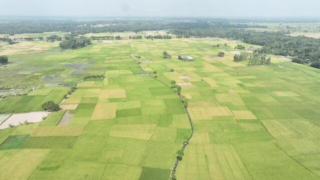 Aerial footage of scenic green landscape with agriculture field. 4k
