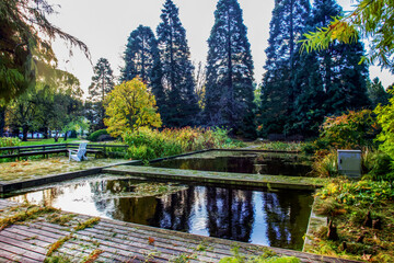 Fantastic of Botanical garden Planten un Blomen: reflections of autumn leaf color in water of pond,  b