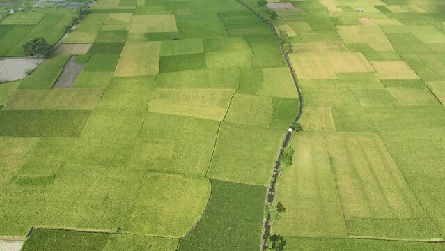 Aerial view of a green landscape. 4k high quality
